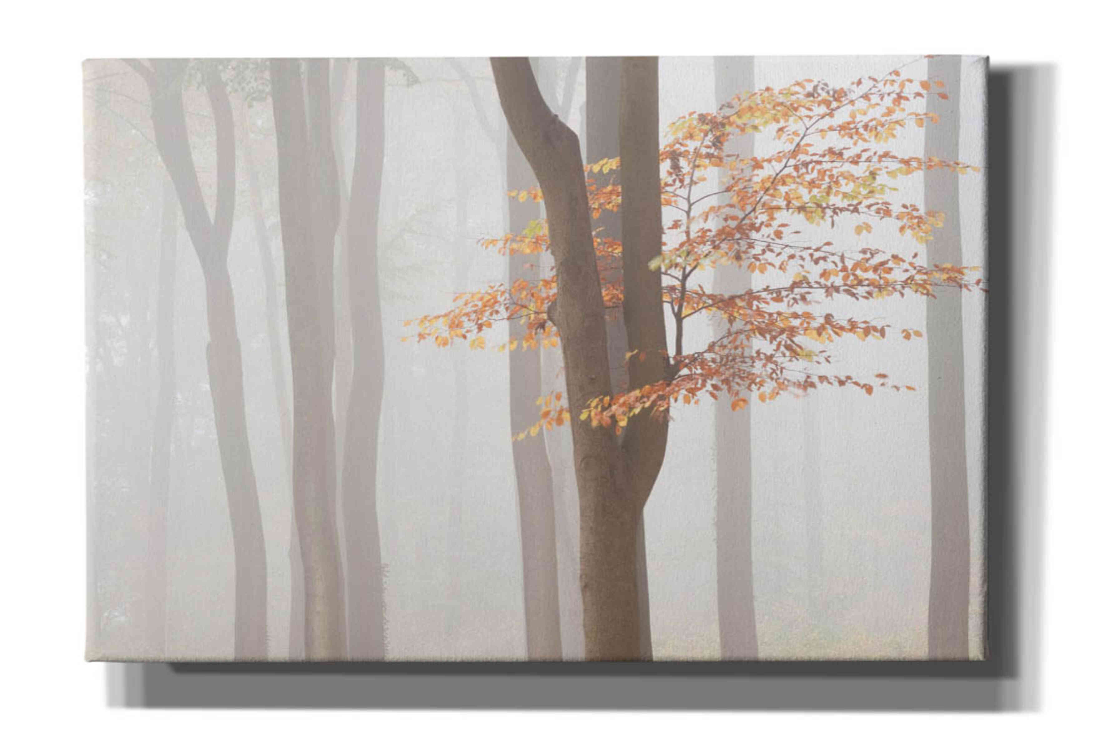 'Arnhem Park Zypendaal' by Wilco Dragt, Giclee Canvas Wall Art