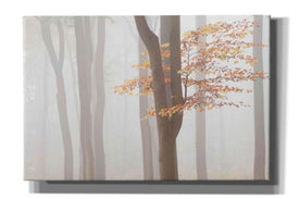 'Arnhem Park Zypendaal' by Wilco Dragt, Giclee Canvas Wall Art