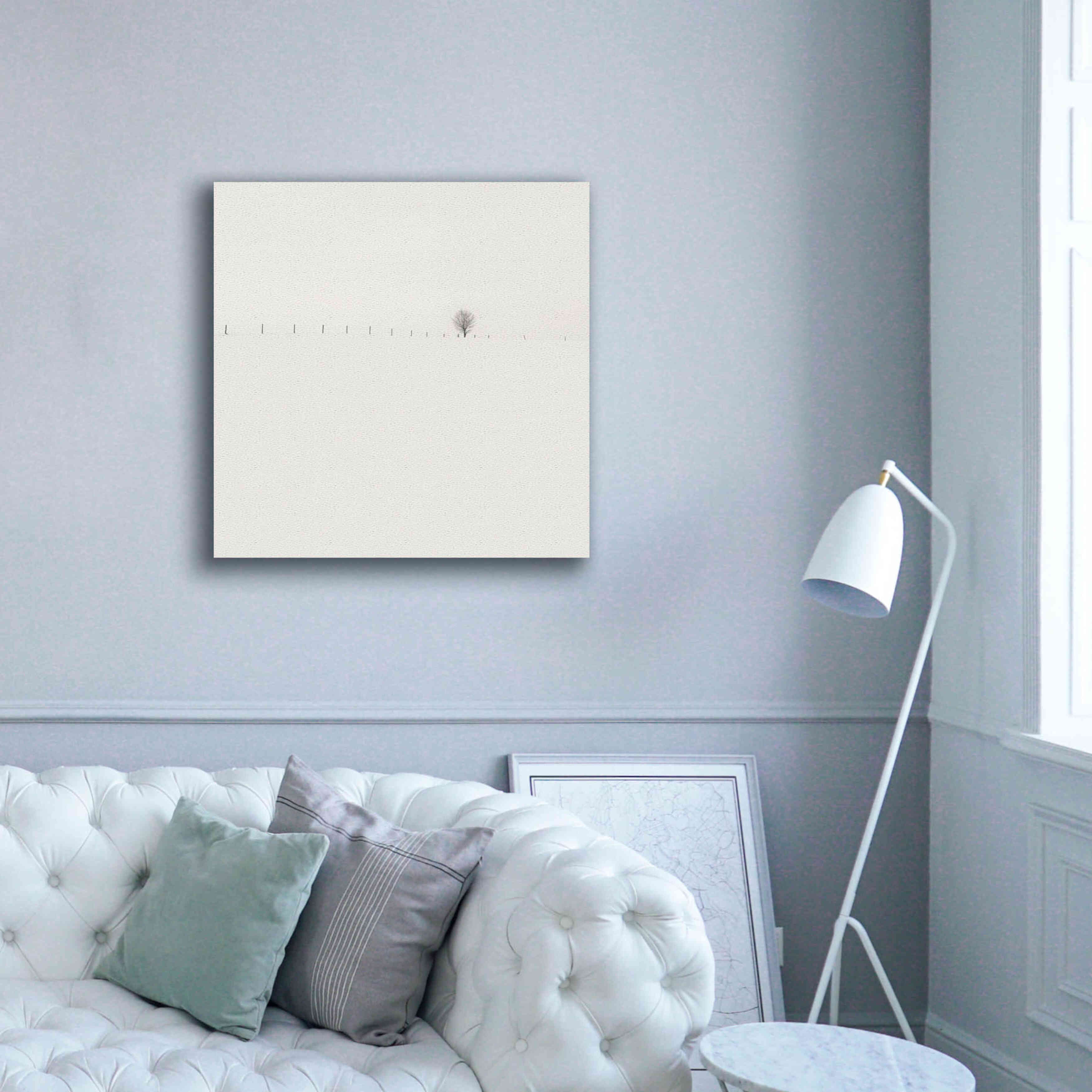 'Frozen Landscape' by Wilco Dragt, Giclee Canvas Wall Art,37 x 37