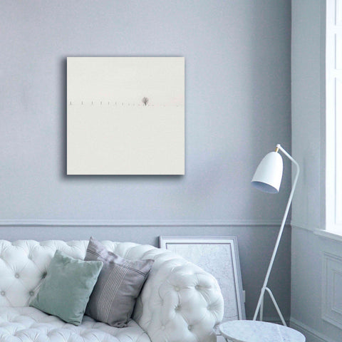 Image of 'Frozen Landscape' by Wilco Dragt, Giclee Canvas Wall Art,37 x 37