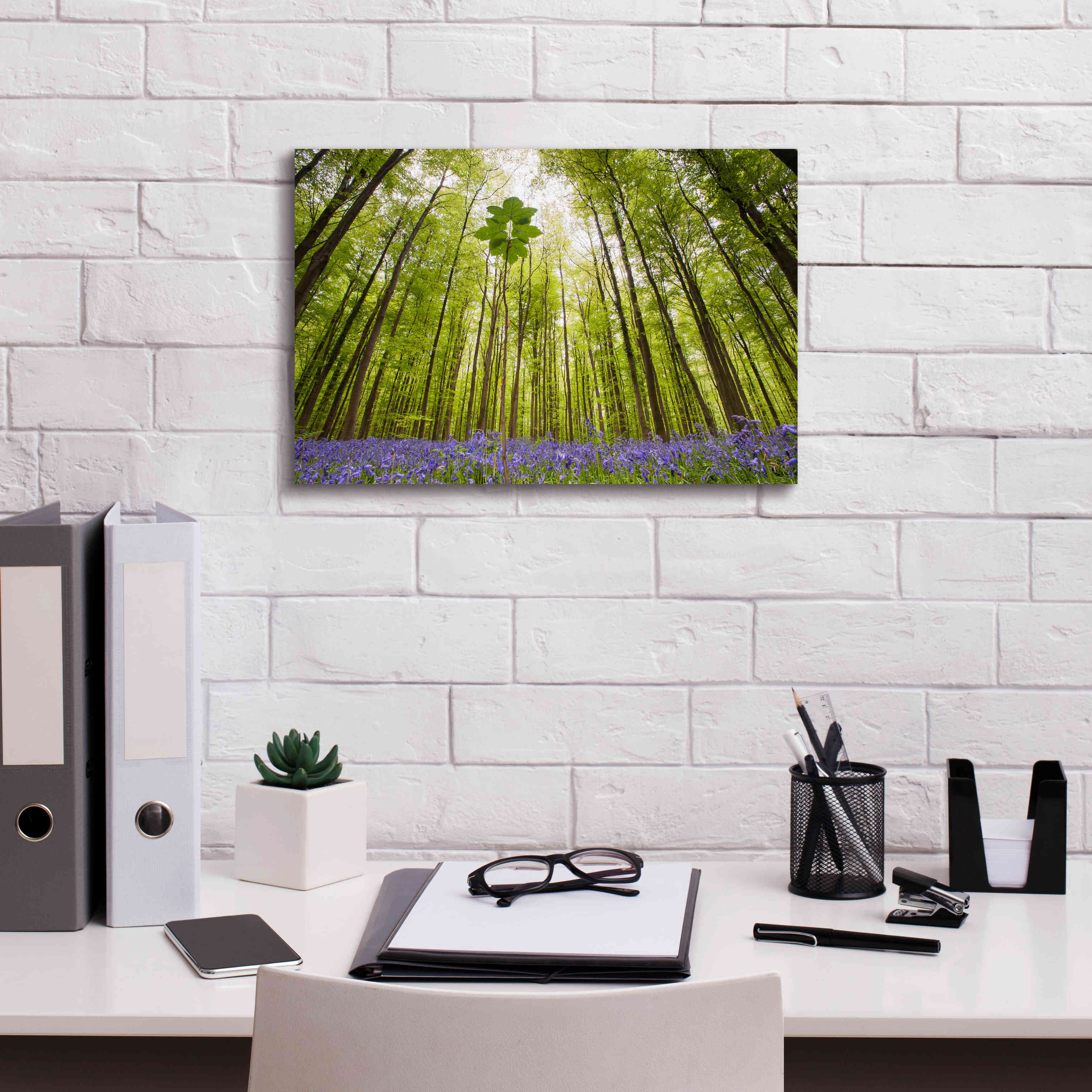 'Hallerbos' by Wilco Dragt, Giclee Canvas Wall Art,18 x 12