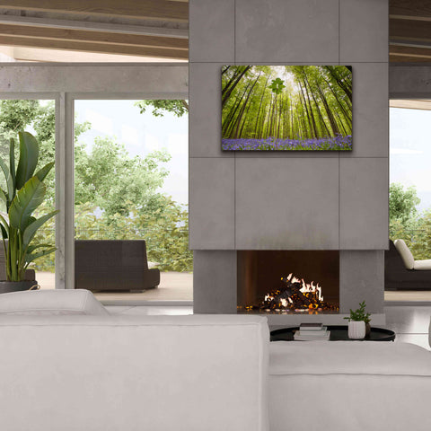 Image of 'Hallerbos' by Wilco Dragt, Giclee Canvas Wall Art,40 x 26