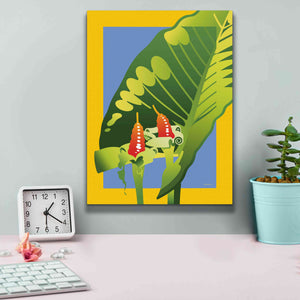 'Alocasia' by David Chestnutt, Giclee Canvas Wall Art,12 x 16