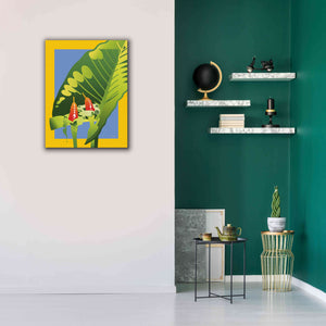 'Alocasia' by David Chestnutt, Giclee Canvas Wall Art,26 x 34
