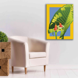 'Alocasia' by David Chestnutt, Giclee Canvas Wall Art,26 x 34