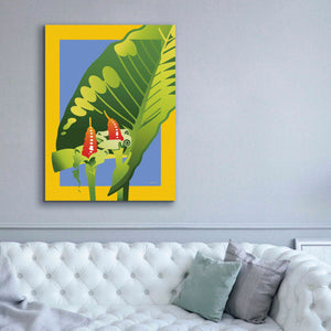 'Alocasia' by David Chestnutt, Giclee Canvas Wall Art,40 x 54