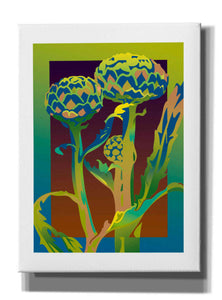 'Artichoke' by David Chestnutt, Giclee Canvas Wall Art