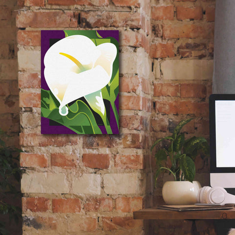 Image of 'Calla Lily' by David Chestnutt, Giclee Canvas Wall Art,12 x 16