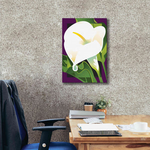 'Calla Lily' by David Chestnutt, Giclee Canvas Wall Art,18 x 26