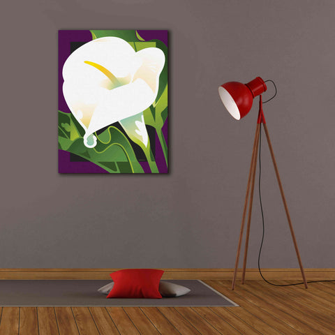 Image of 'Calla Lily' by David Chestnutt, Giclee Canvas Wall Art,26 x 34