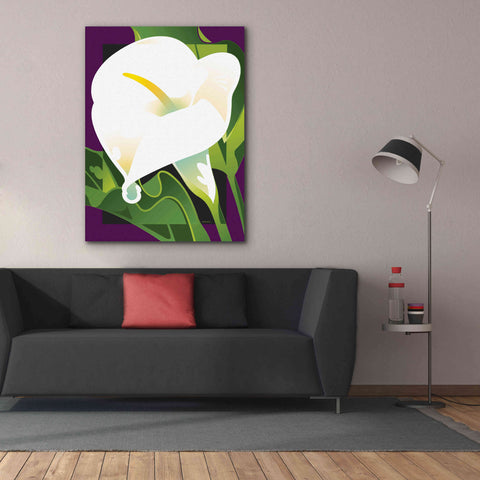 Image of 'Calla Lily' by David Chestnutt, Giclee Canvas Wall Art,40 x 54