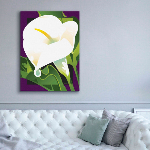Image of 'Calla Lily' by David Chestnutt, Giclee Canvas Wall Art,40 x 54