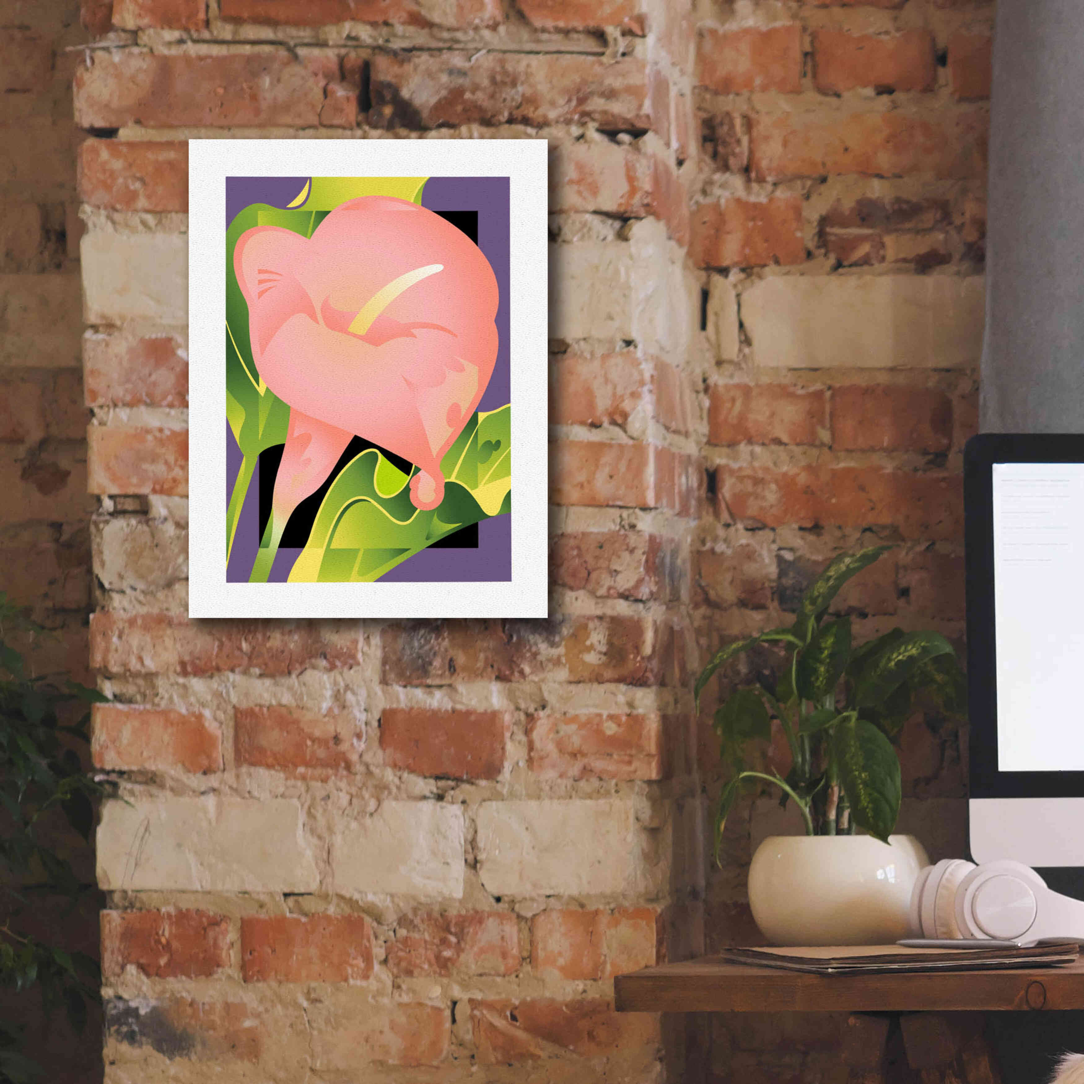 'Calla Pink' by David Chestnutt, Giclee Canvas Wall Art,12 x 16
