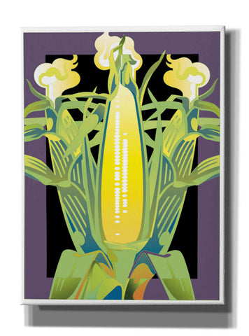 Image of 'Corn' by David Chestnutt, Giclee Canvas Wall Art