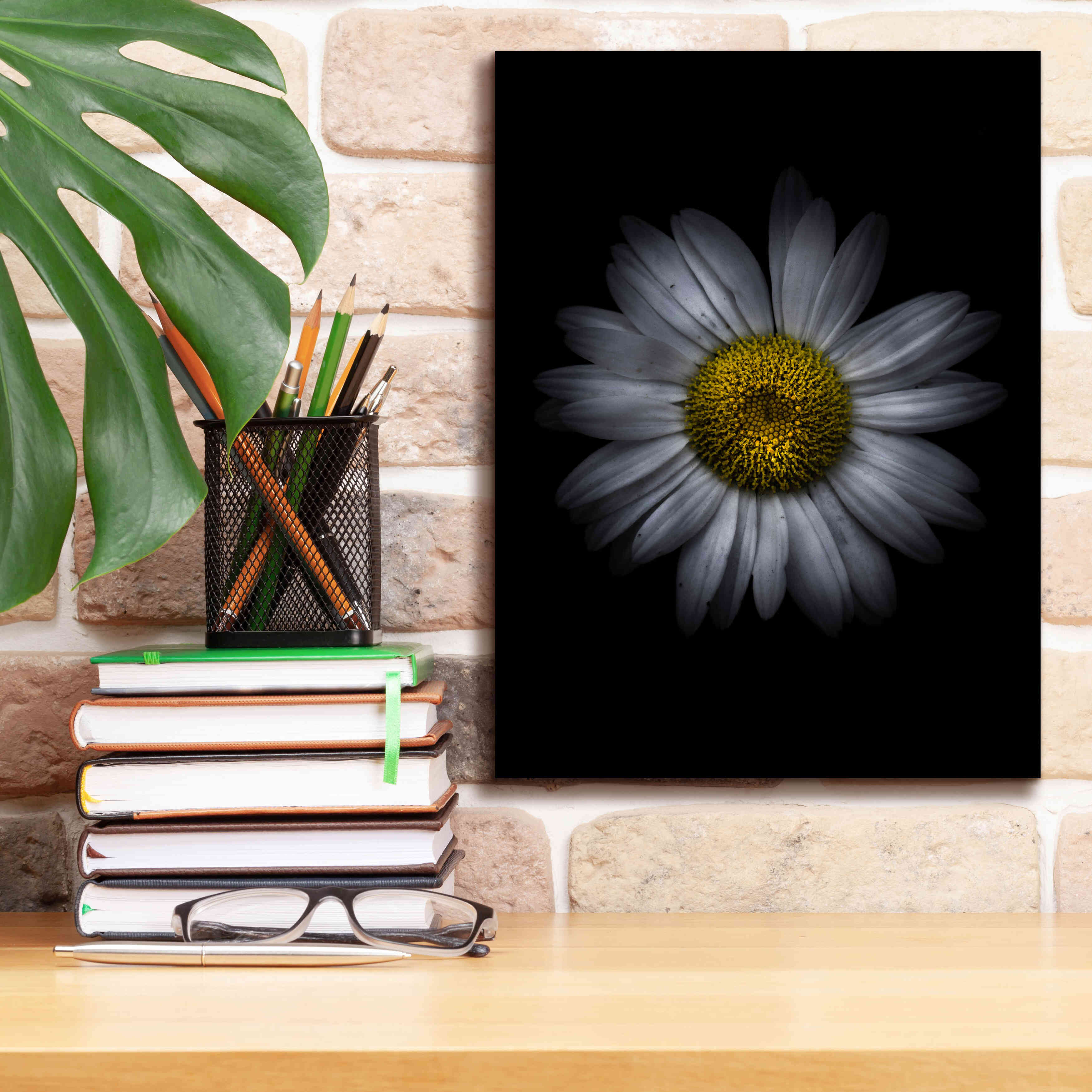 'Backyard Flowers 13 Color Version' by Brian Carson, Giclee Canvas Wall Art,12 x 16