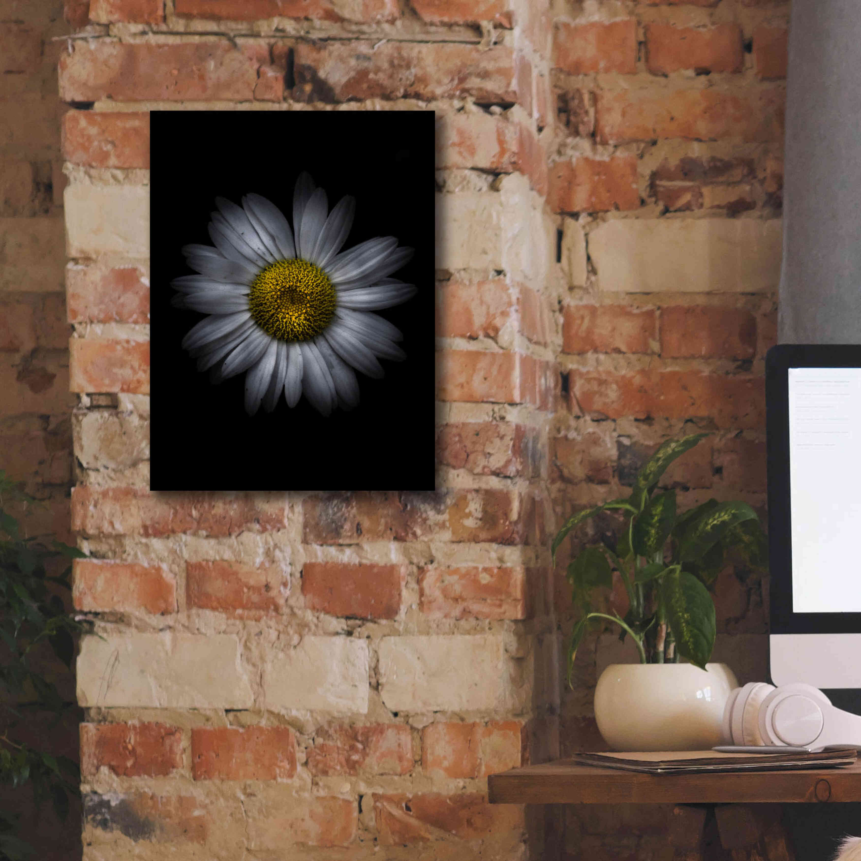 'Backyard Flowers 13 Color Version' by Brian Carson, Giclee Canvas Wall Art,12 x 16