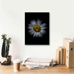'Backyard Flowers 13 Color Version' by Brian Carson, Giclee Canvas Wall Art,12 x 16