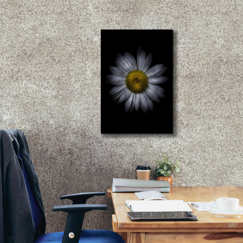 Image of 'Backyard Flowers 13 Color Version' by Brian Carson, Giclee Canvas Wall Art,18 x 26