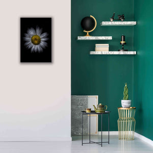 'Backyard Flowers 13 Color Version' by Brian Carson, Giclee Canvas Wall Art,18 x 26