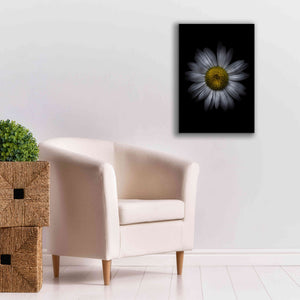 'Backyard Flowers 13 Color Version' by Brian Carson, Giclee Canvas Wall Art,18 x 26