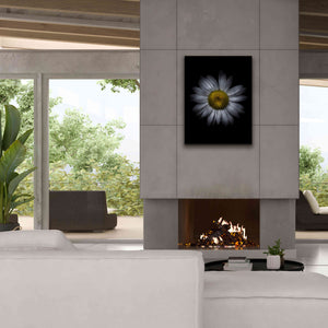 'Backyard Flowers 13 Color Version' by Brian Carson, Giclee Canvas Wall Art,26 x 34