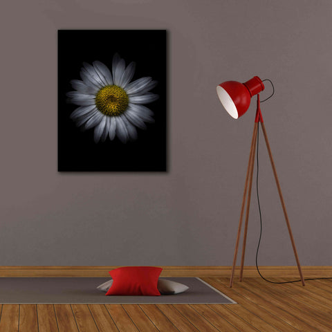 Image of 'Backyard Flowers 13 Color Version' by Brian Carson, Giclee Canvas Wall Art,26 x 34