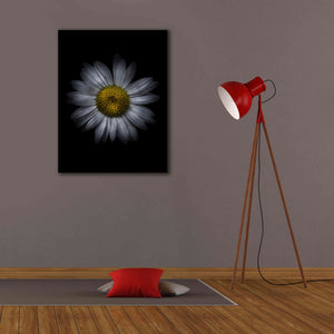 'Backyard Flowers 13 Color Version' by Brian Carson, Giclee Canvas Wall Art,26 x 34