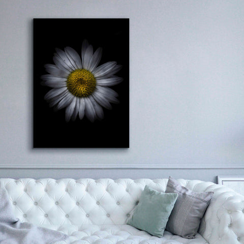 Image of 'Backyard Flowers 13 Color Version' by Brian Carson, Giclee Canvas Wall Art,40 x 54