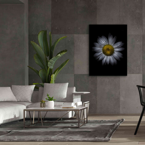 Image of 'Backyard Flowers 13 Color Version' by Brian Carson, Giclee Canvas Wall Art,40 x 54