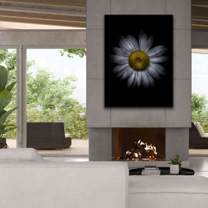 'Backyard Flowers 13 Color Version' by Brian Carson, Giclee Canvas Wall Art,40 x 54