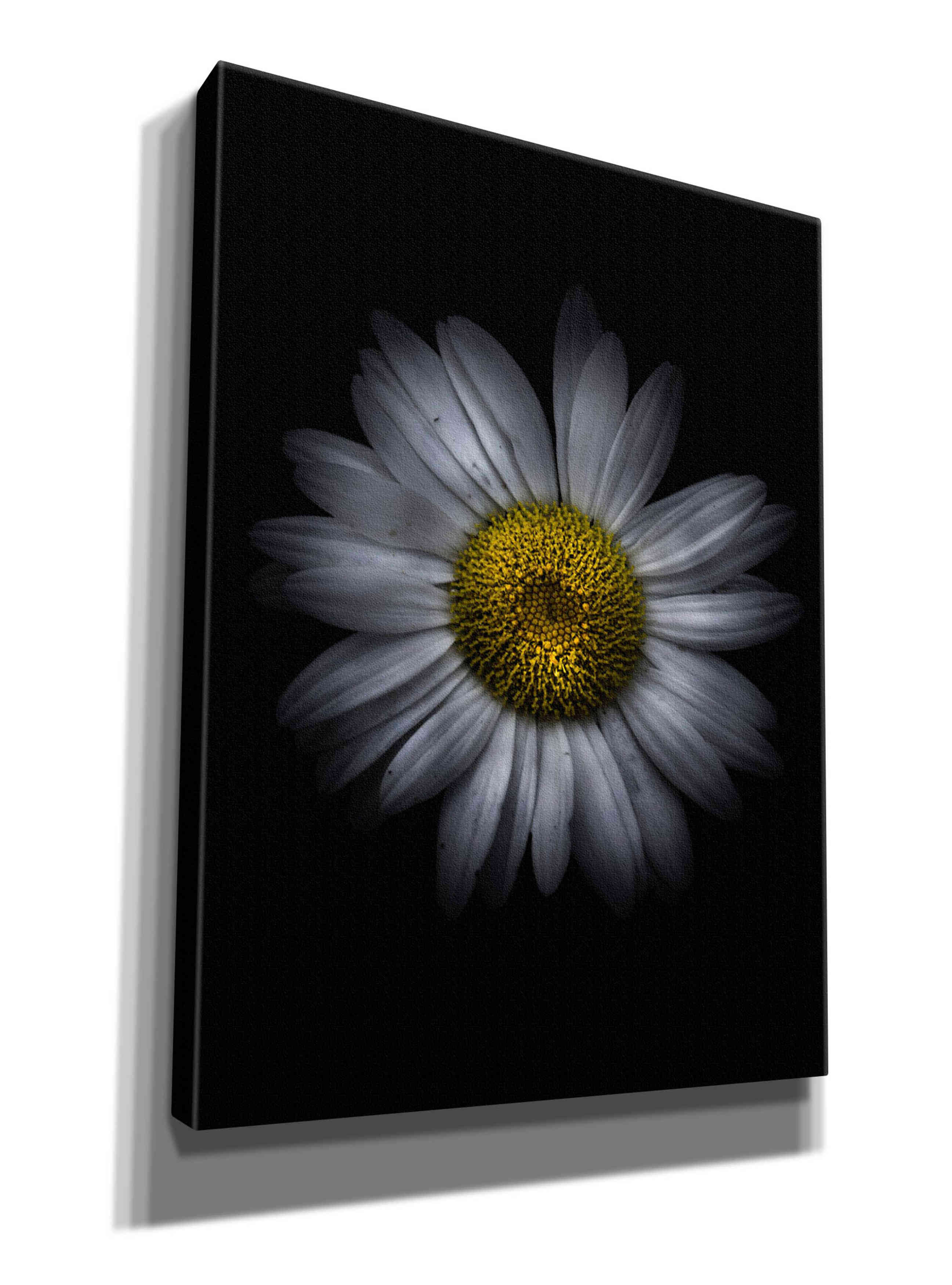 'Backyard Flowers 13 Color Version' by Brian Carson, Giclee Canvas Wall Art
