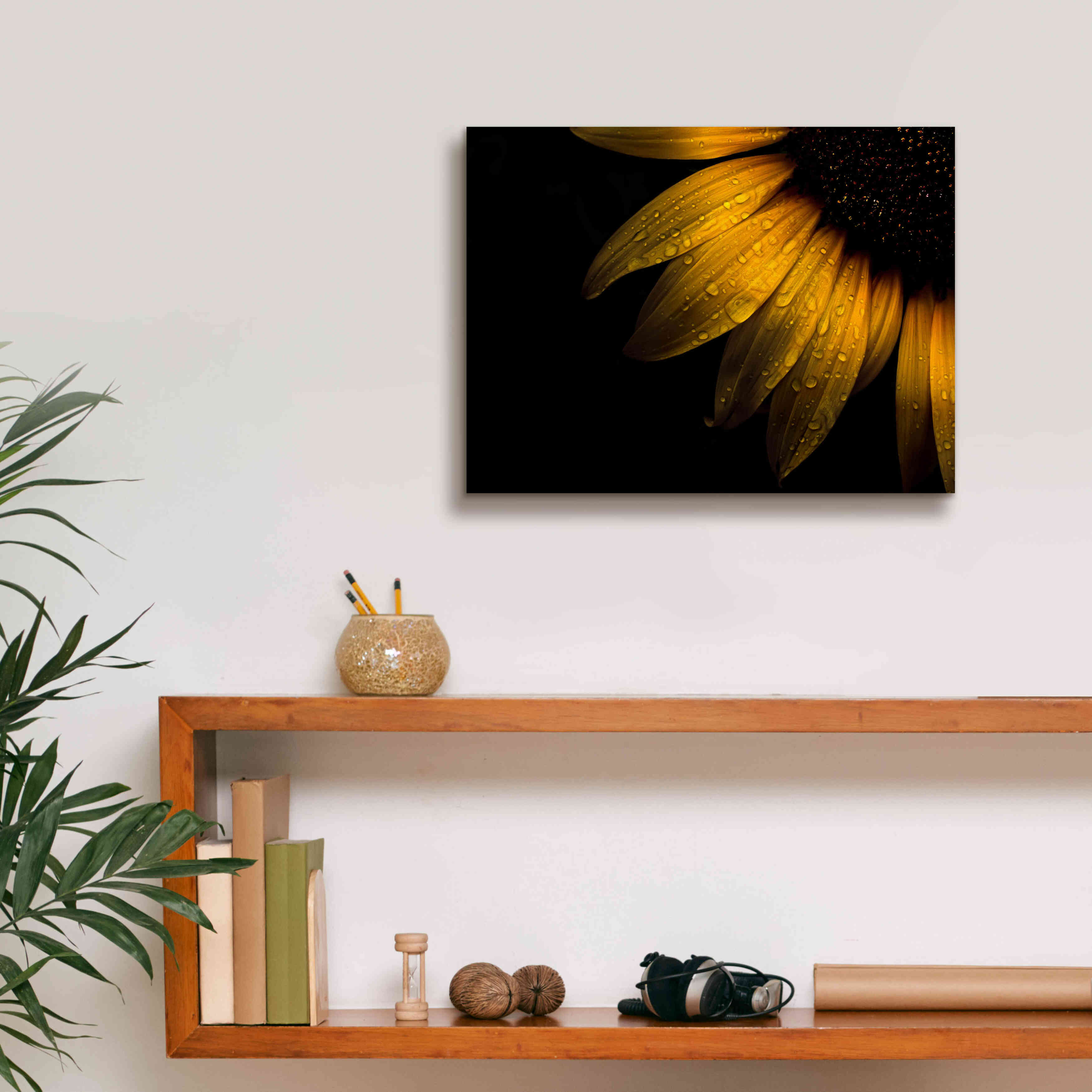 'Backyard Flowers 28 Sunflower' by Brian Carson, Giclee Canvas Wall Art,16 x 12