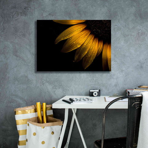 Image of 'Backyard Flowers 28 Sunflower' by Brian Carson, Giclee Canvas Wall Art,26 x 18