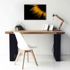 'Backyard Flowers 28 Sunflower' by Brian Carson, Giclee Canvas Wall Art,26 x 18