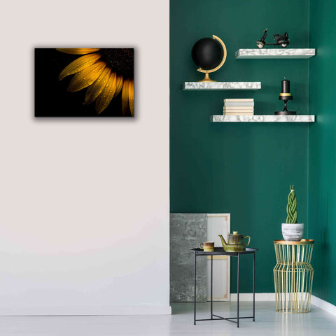 Image of 'Backyard Flowers 28 Sunflower' by Brian Carson, Giclee Canvas Wall Art,26 x 18