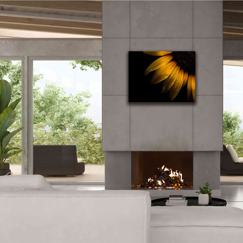 Image of 'Backyard Flowers 28 Sunflower' by Brian Carson, Giclee Canvas Wall Art,34 x 26