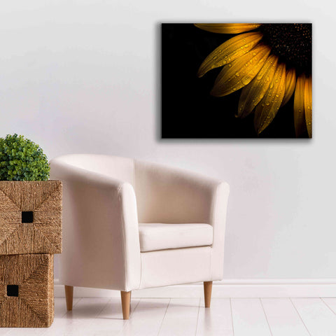 Image of 'Backyard Flowers 28 Sunflower' by Brian Carson, Giclee Canvas Wall Art,34 x 26