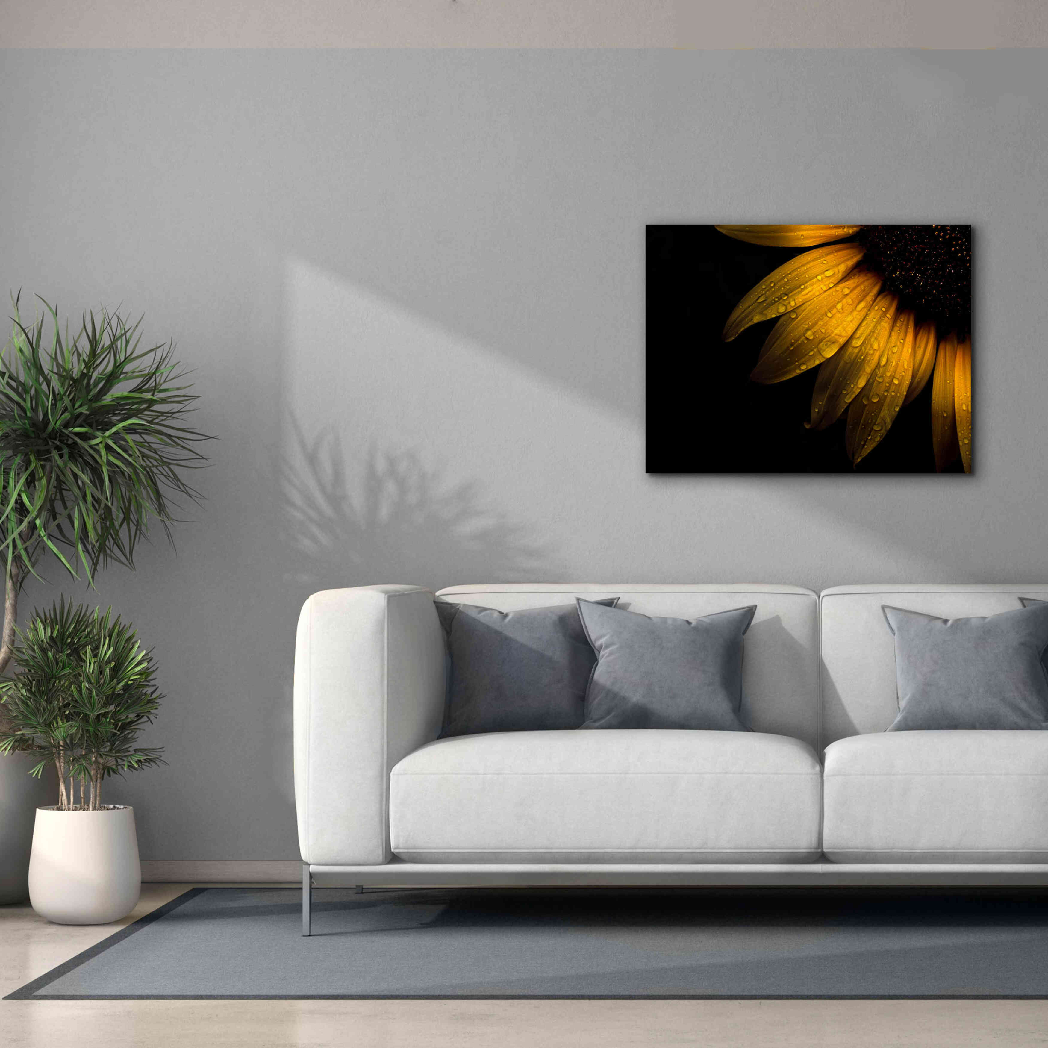'Backyard Flowers 28 Sunflower' by Brian Carson, Giclee Canvas Wall Art,34 x 26