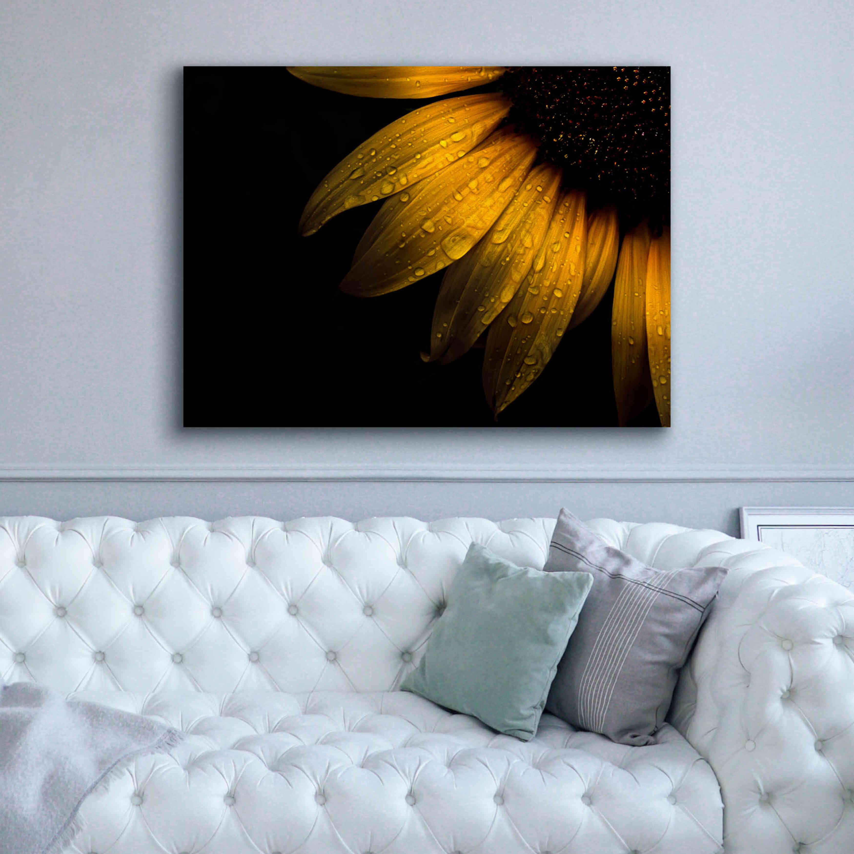 'Backyard Flowers 28 Sunflower' by Brian Carson, Giclee Canvas Wall Art,54 x 40