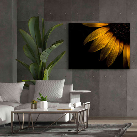 Image of 'Backyard Flowers 28 Sunflower' by Brian Carson, Giclee Canvas Wall Art,54 x 40