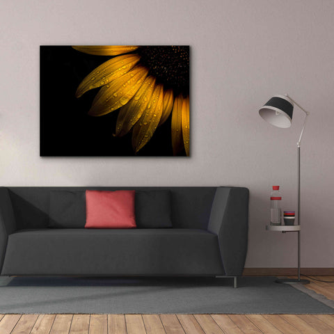Image of 'Backyard Flowers 28 Sunflower' by Brian Carson, Giclee Canvas Wall Art,54 x 40