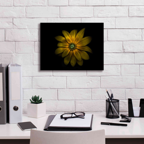 Image of 'Backyard Flowers 34 Color Version' by Brian Carson, Giclee Canvas Wall Art,16 x 12