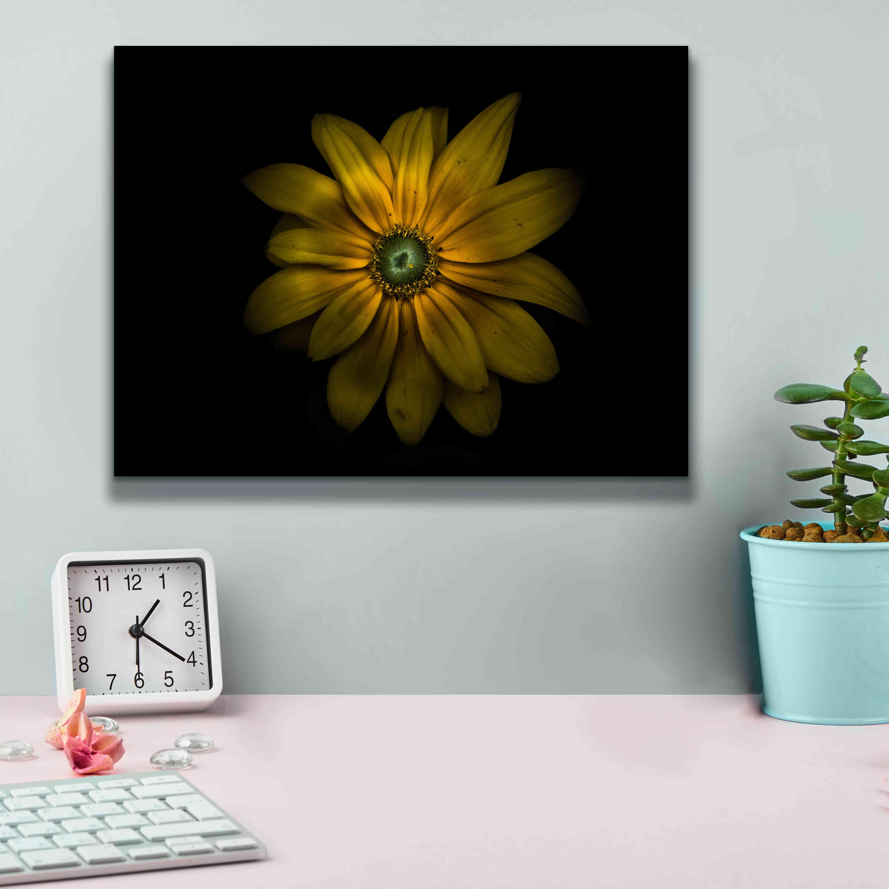 'Backyard Flowers 34 Color Version' by Brian Carson, Giclee Canvas Wall Art,16 x 12