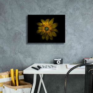 'Backyard Flowers 34 Color Version' by Brian Carson, Giclee Canvas Wall Art,16 x 12
