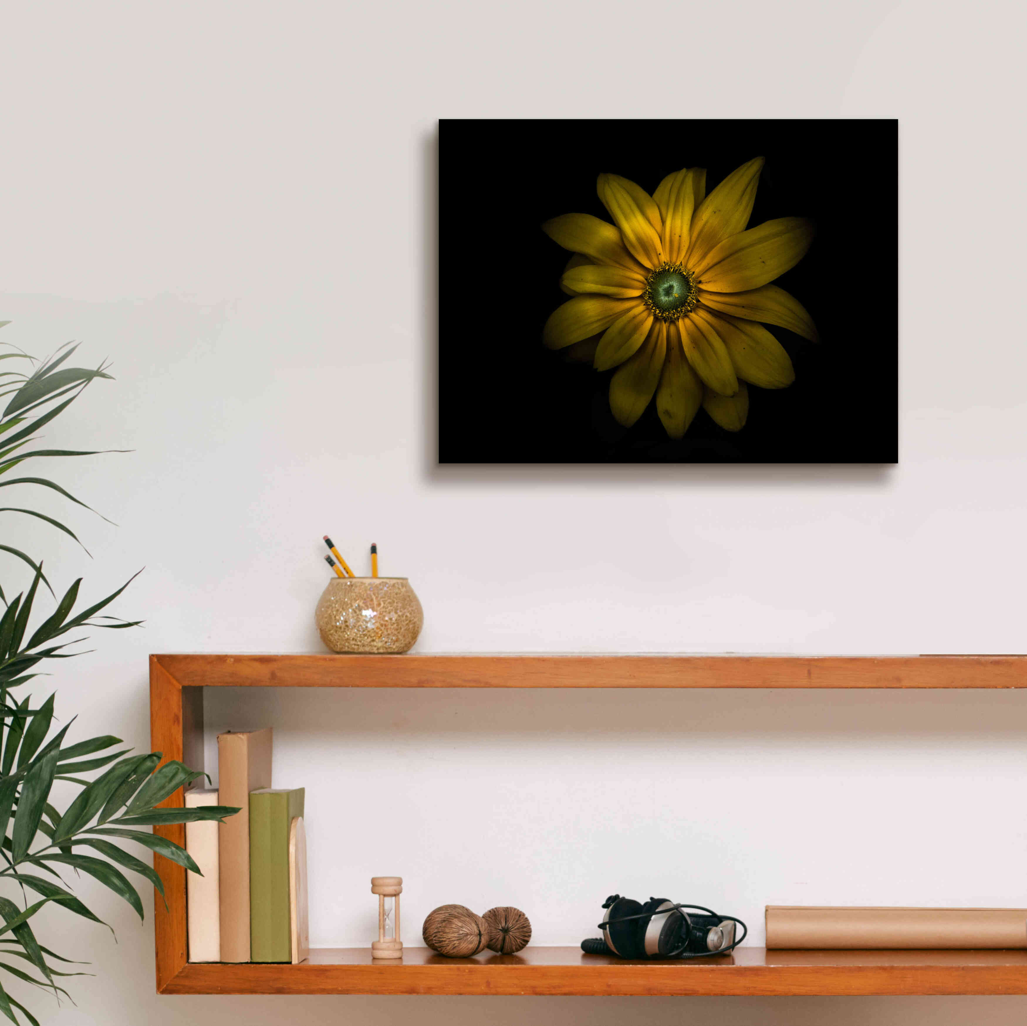 'Backyard Flowers 34 Color Version' by Brian Carson, Giclee Canvas Wall Art,16 x 12