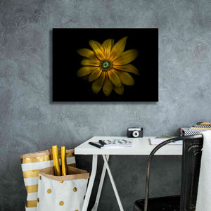 'Backyard Flowers 34 Color Version' by Brian Carson, Giclee Canvas Wall Art,26 x 18