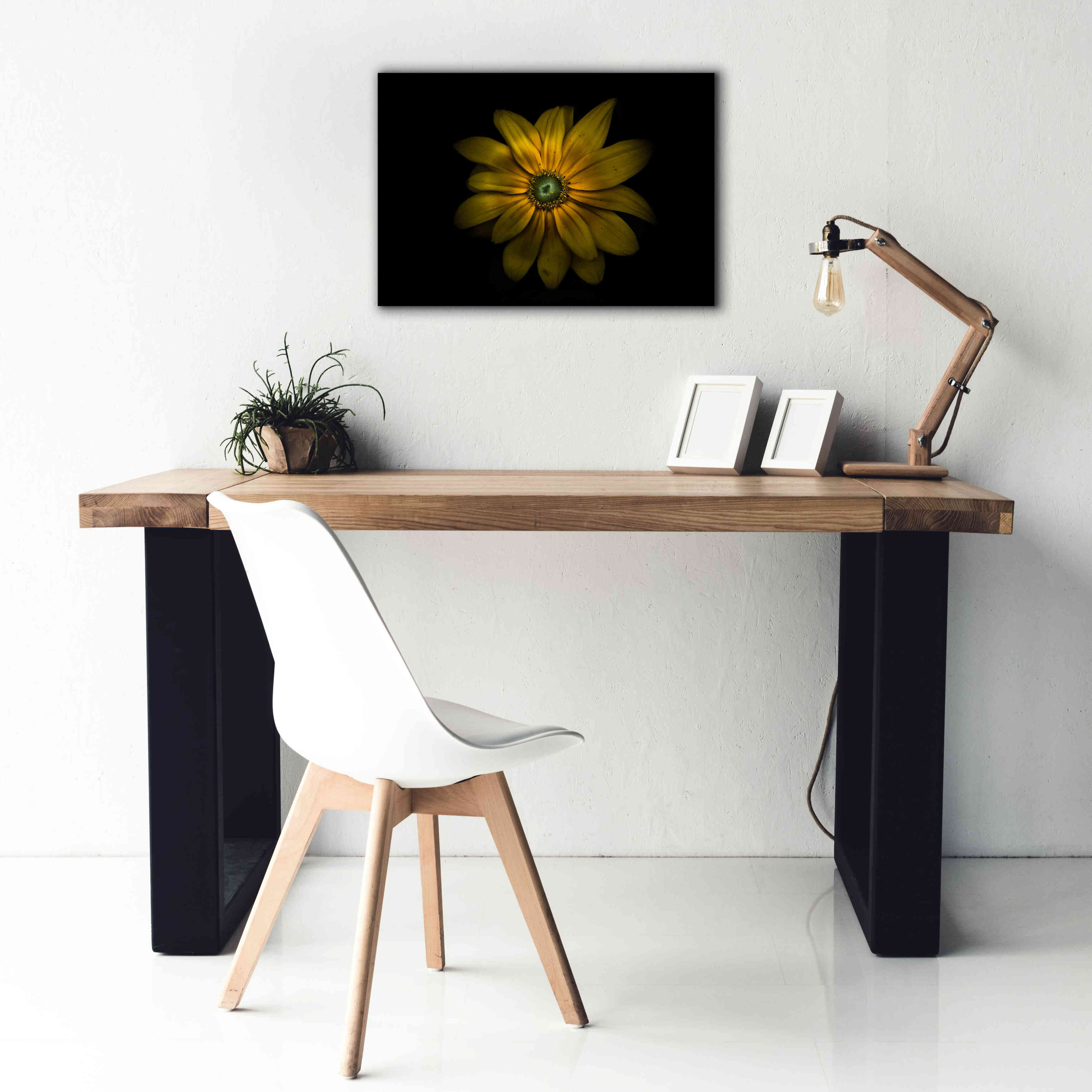 'Backyard Flowers 34 Color Version' by Brian Carson, Giclee Canvas Wall Art,26 x 18