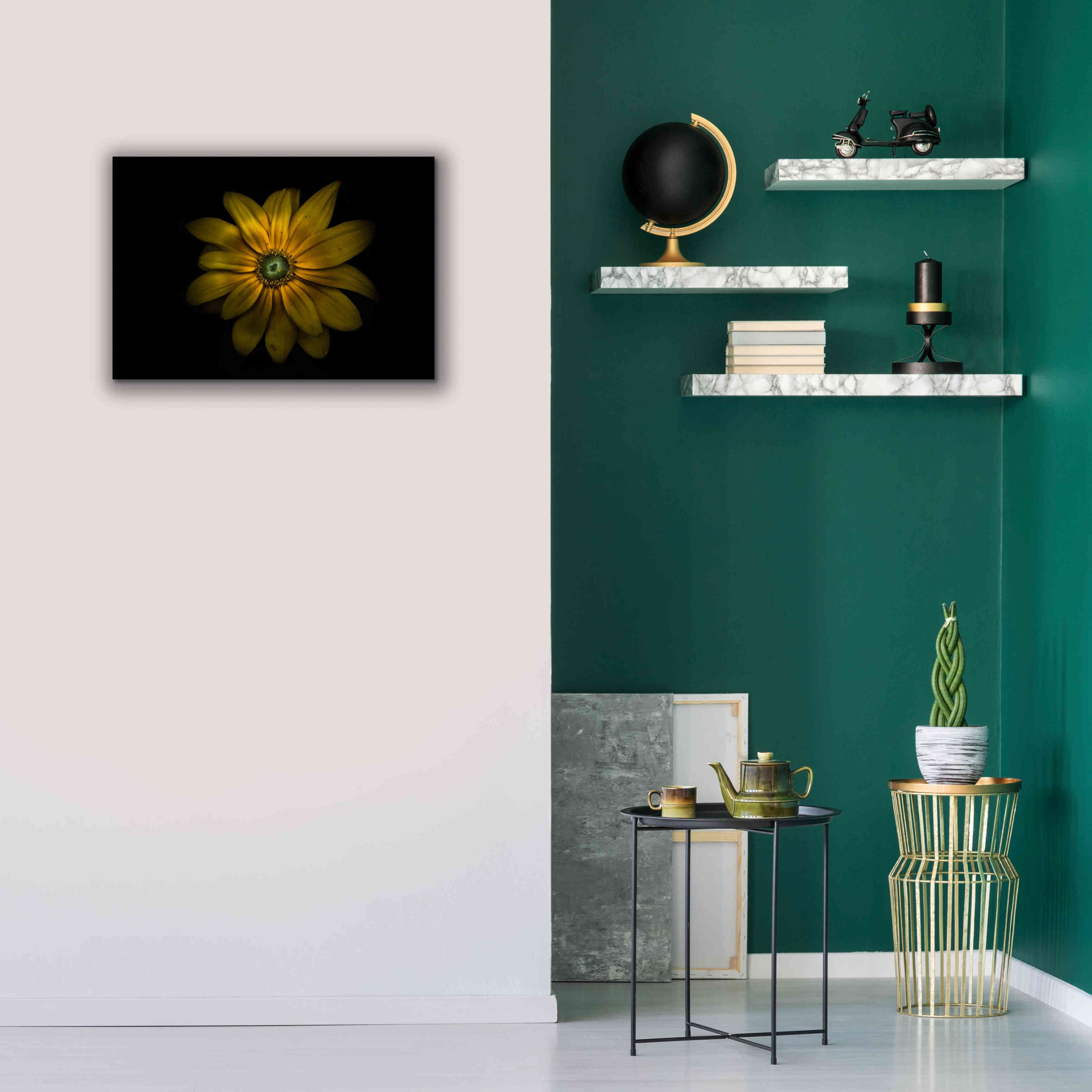 'Backyard Flowers 34 Color Version' by Brian Carson, Giclee Canvas Wall Art,26 x 18