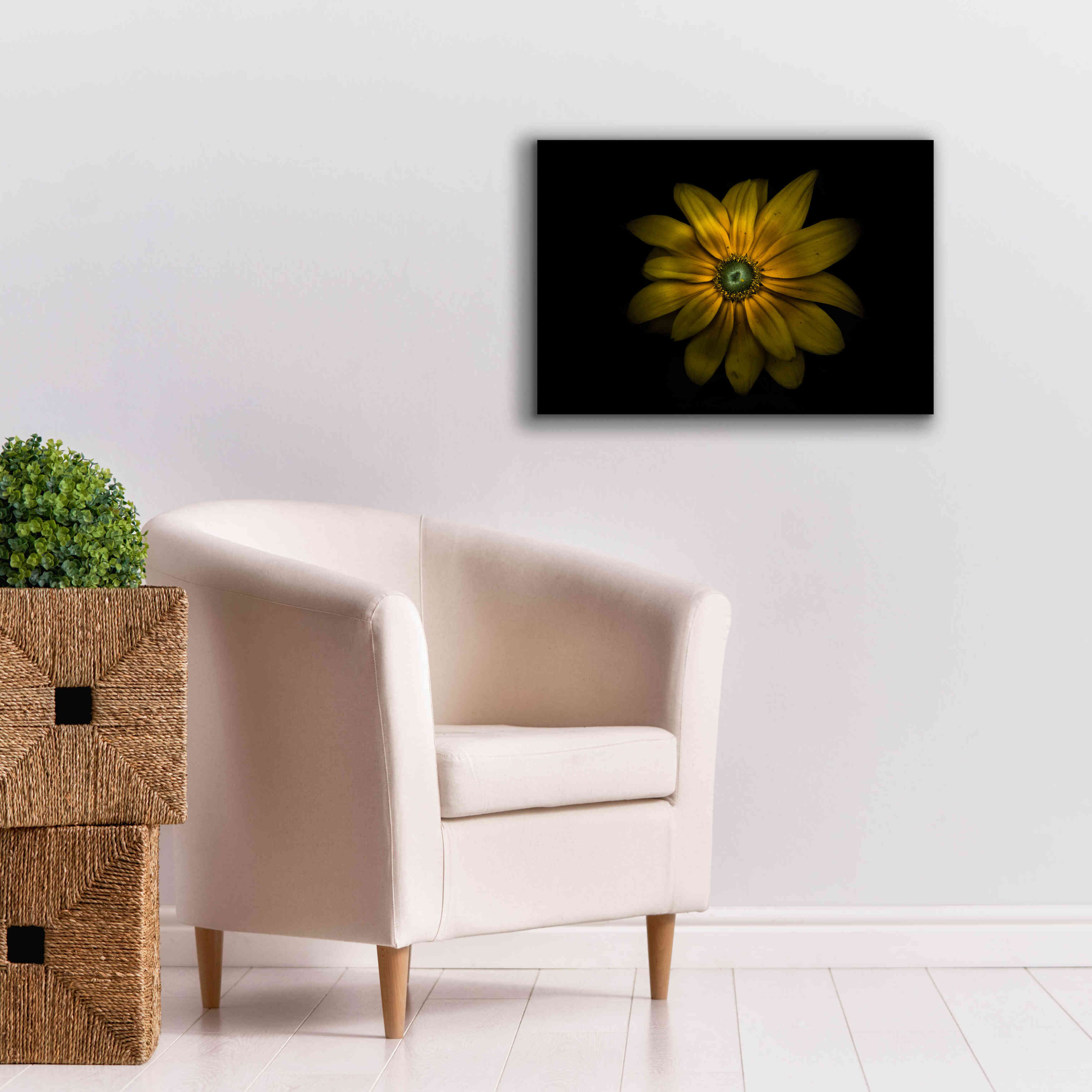 'Backyard Flowers 34 Color Version' by Brian Carson, Giclee Canvas Wall Art,26 x 18