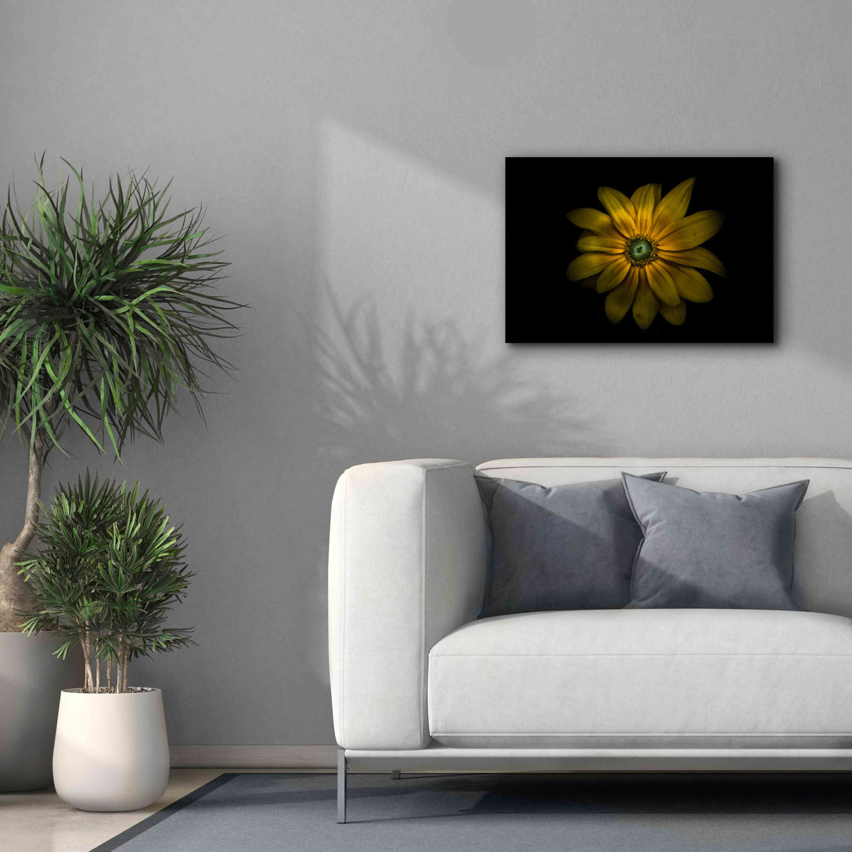 'Backyard Flowers 34 Color Version' by Brian Carson, Giclee Canvas Wall Art,26 x 18